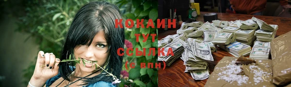 стафф Каменск-Шахтинский