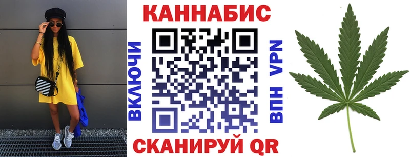 Купить закладки  Грязовец  Конопля AK-47 